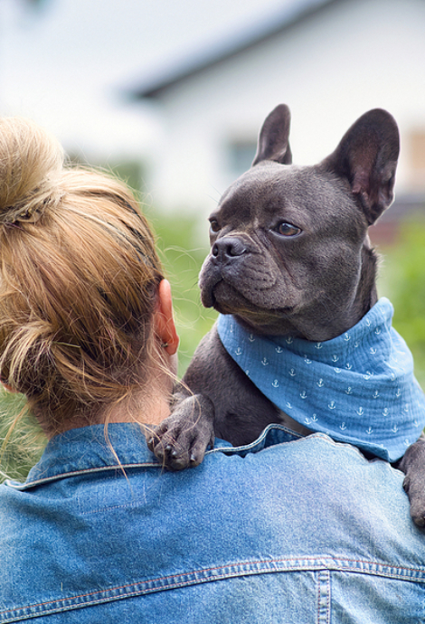 Woman holding French Bulldog dog over shoulder